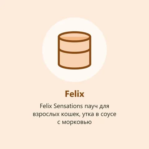 Felix Sensations пауч для взрослых кошек, утка в соусе с морковью (фото-заглушка)